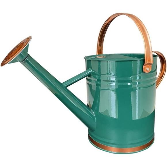 Metal Watering Can for Outdoor and Indoor Plants, 1 Gallon - Summer Gardening - Picture 1 of 8